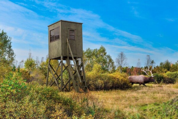 pt hunting blind wood stand deer pt hunting blind wood stand deer